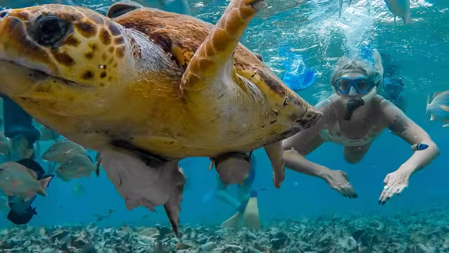 Real Central America - 18 to 29s small group adventure with Intrepid Travel