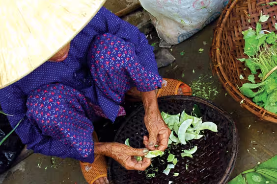 Vietnam & Cambodia Real Food Adventure - 1