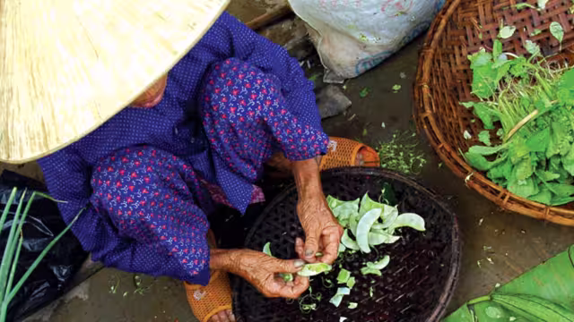 Local vietnamese woman with vegetables