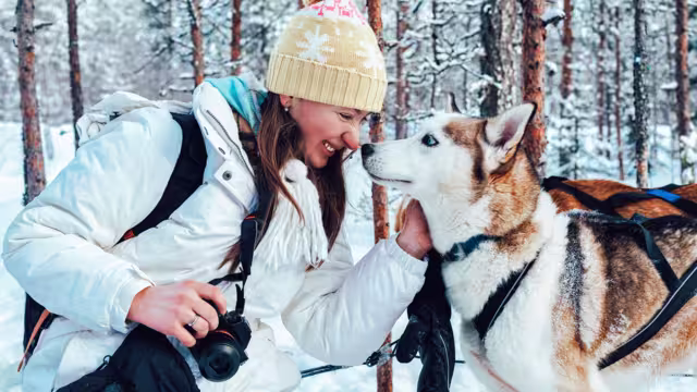 Girl and Husky dog in sled in Finland in Lapland in winter.