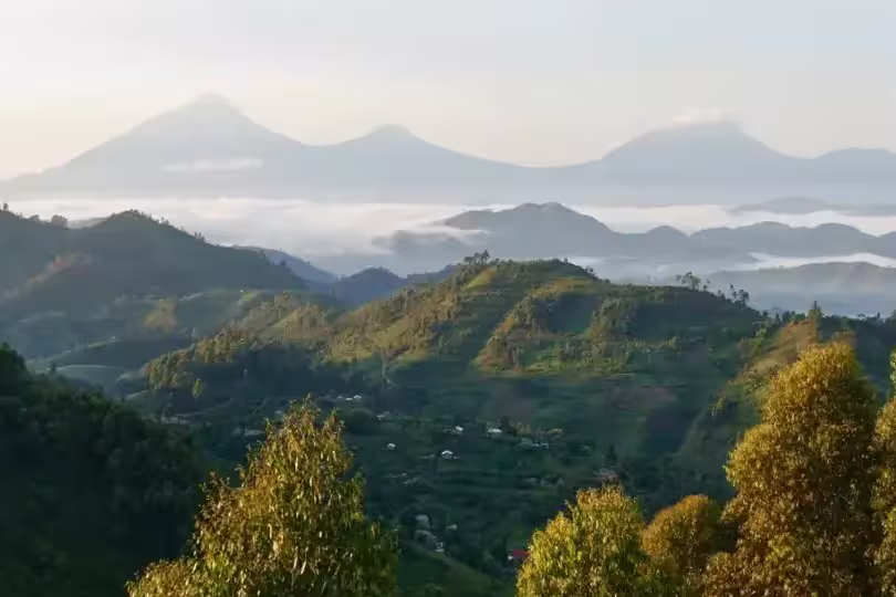 Uganda, Ruanda – Gorilla-Tracking und Ruwenzori-Gebirge