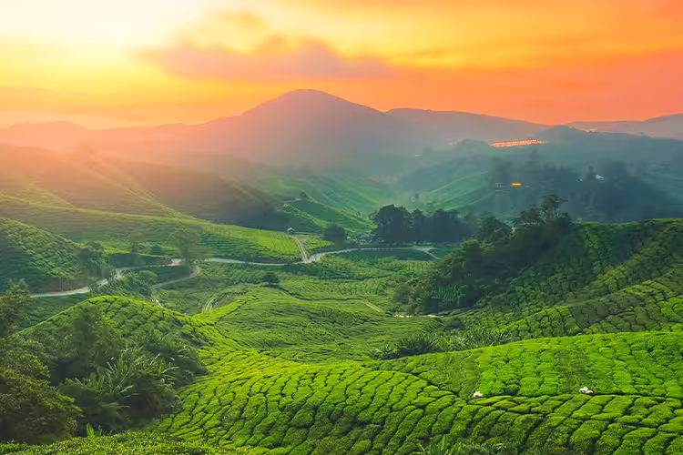 Malaysia Highlights - 1