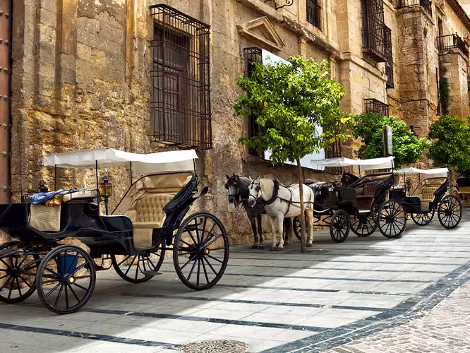 ZMPVC - Horses on the old streets and architecture of Cordoba, Spain