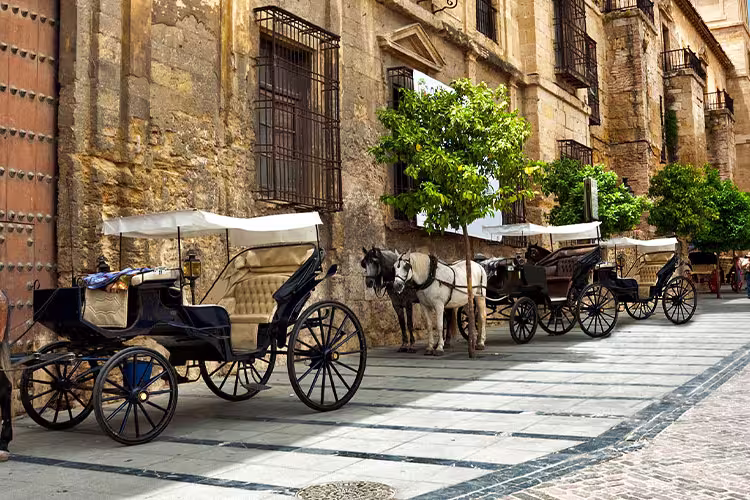 Premium Spain & Morocco - 1