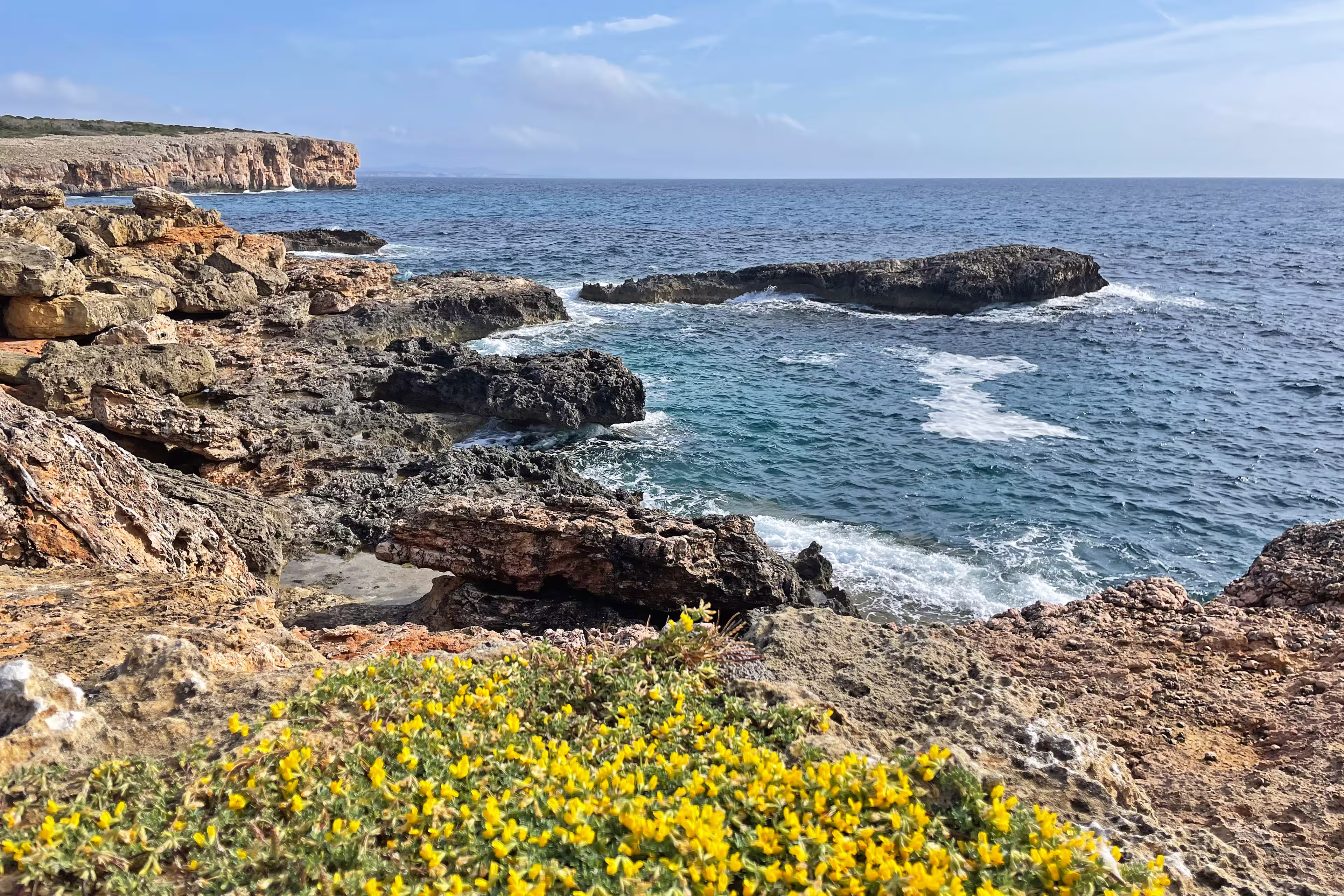 Sternfahrt Mallorca 7 Tage