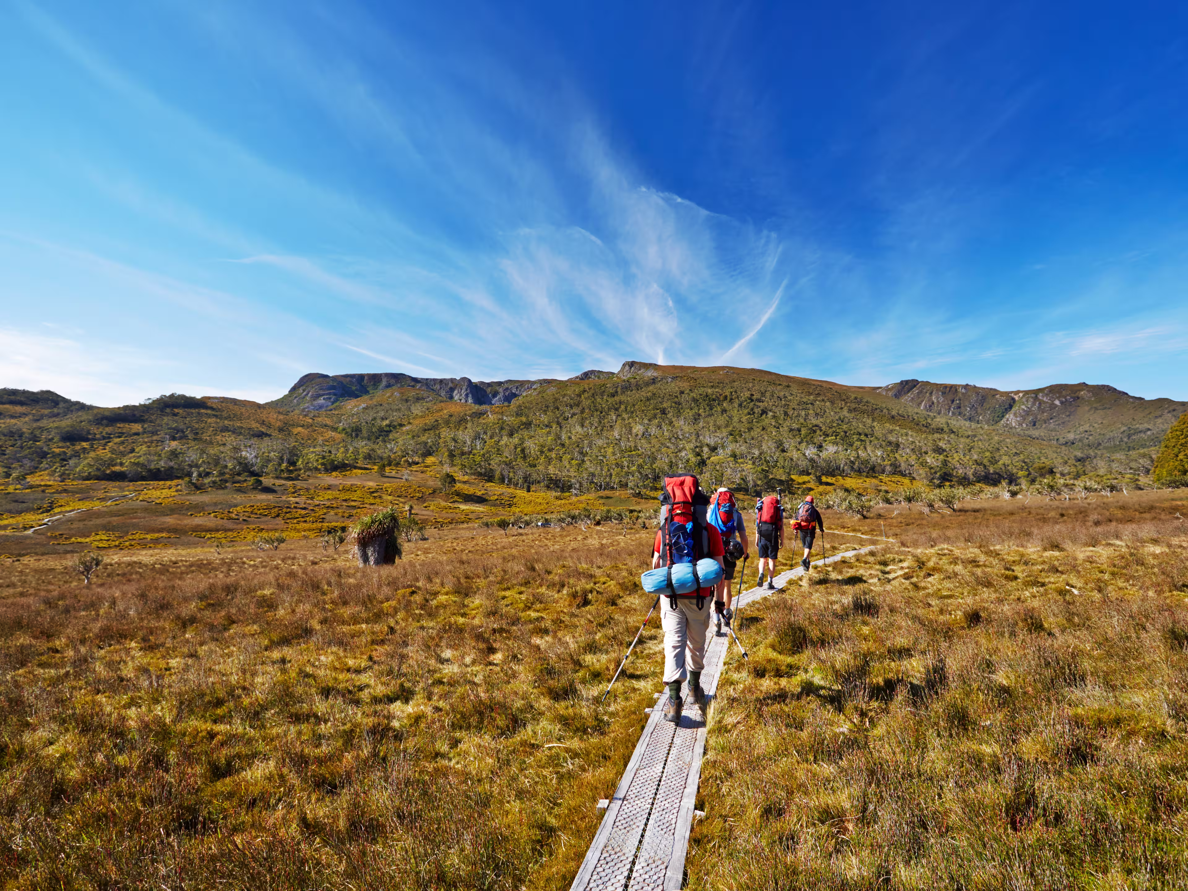 Overland Track Tasmanien Australien
