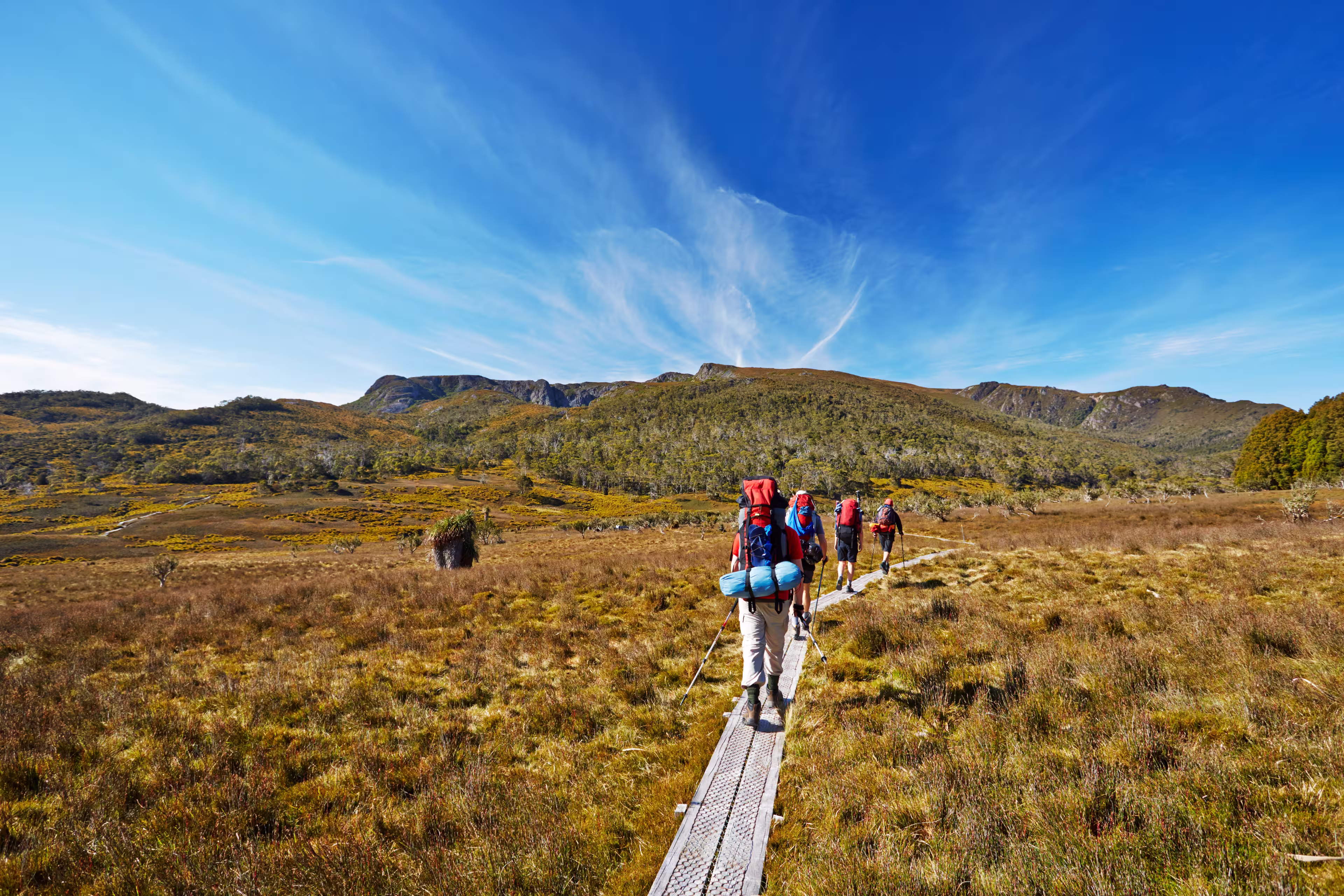 Overland Track Tasmanien Australien