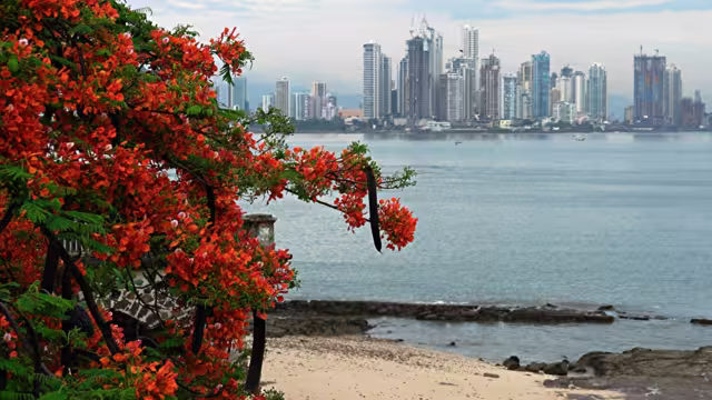 Panama Strand & Skyline