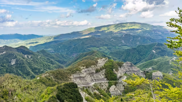 Green spring trees in the  Casentino Forests National Park