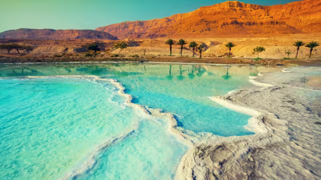 Dead sea salty shore. Wild nature. Tropical landscape. Summertime.