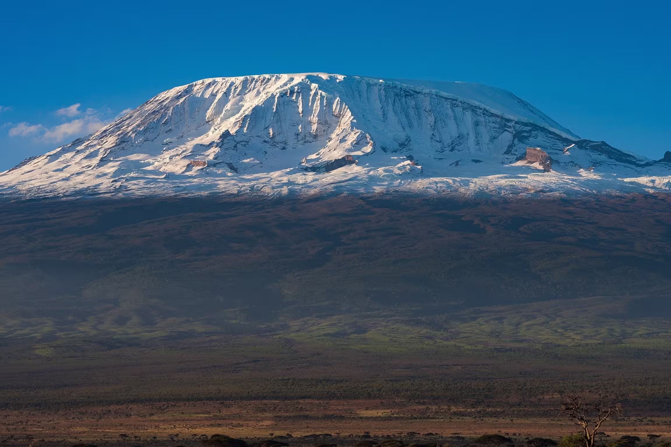 Mount Kilimanjaro landscape in Tanzania with snow-capped summit rising above plains. Highest mountain in Africa, iconic natural landmark ideal for travel, adventure, and nature photography.