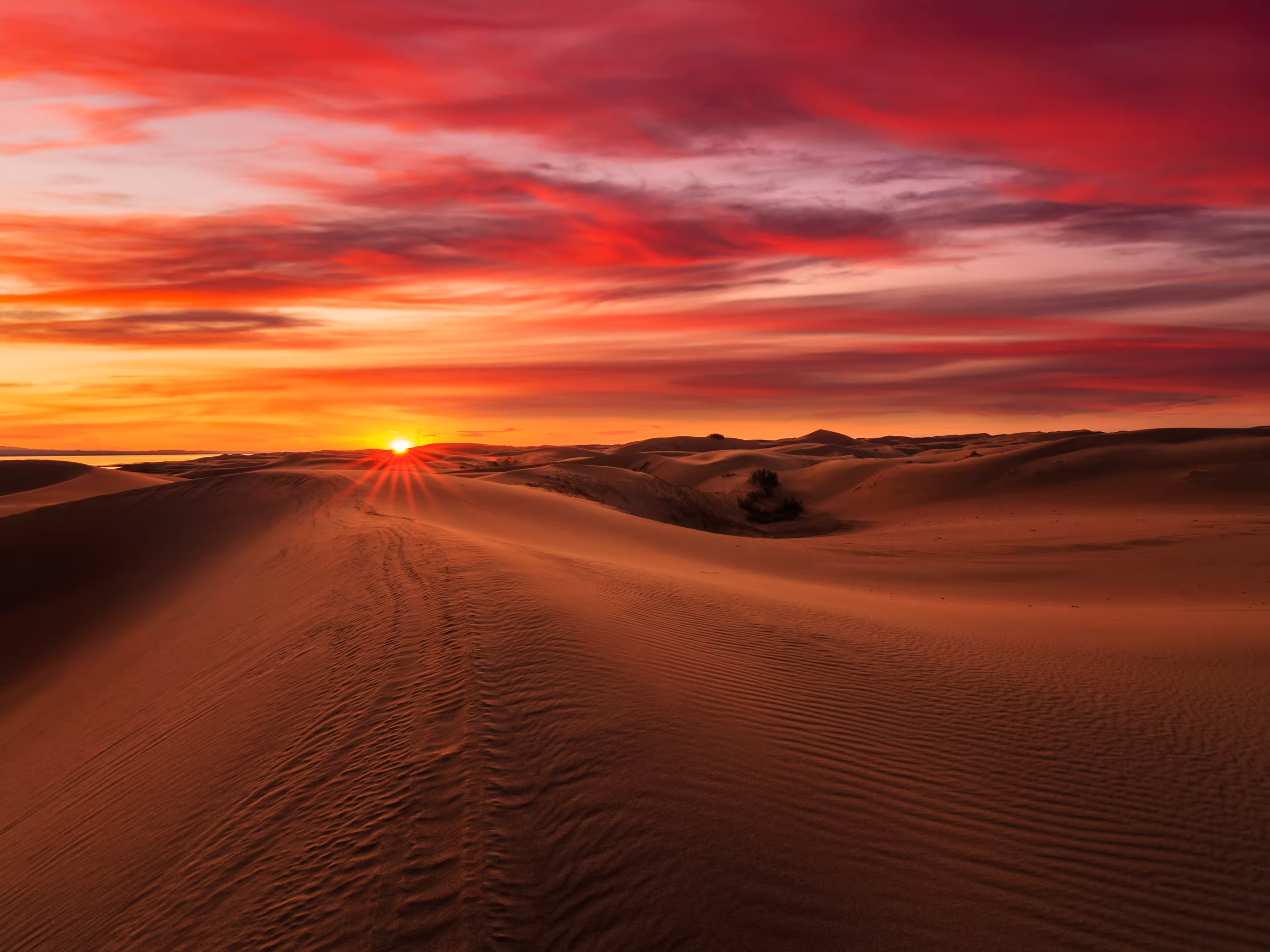 Beautiful sunset over the sand dunes in the Arabian Empty Quarter Desert, UAE. Rub' al Khali