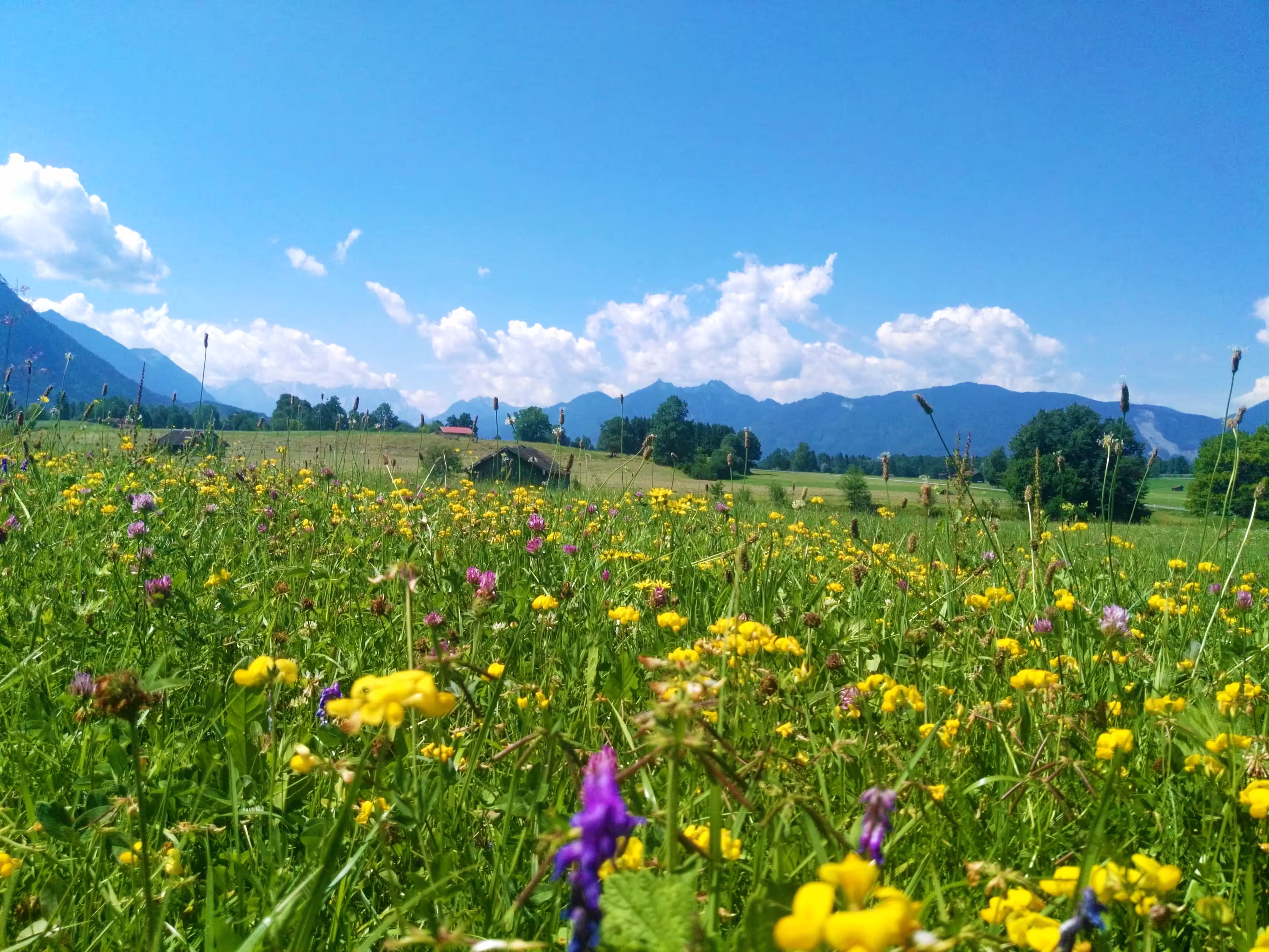 Landschaft im Bayerischen Alpenvorland