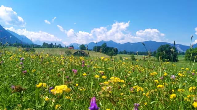 Landschaft im Bayerischen Alpenvorland