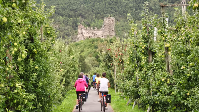 Radeln Südtirol