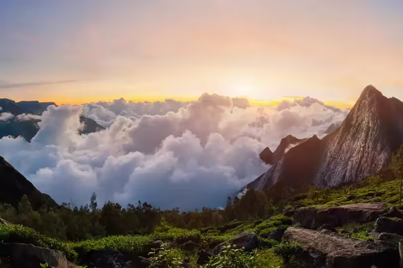 Indien – Trekkingreise in Kerala
