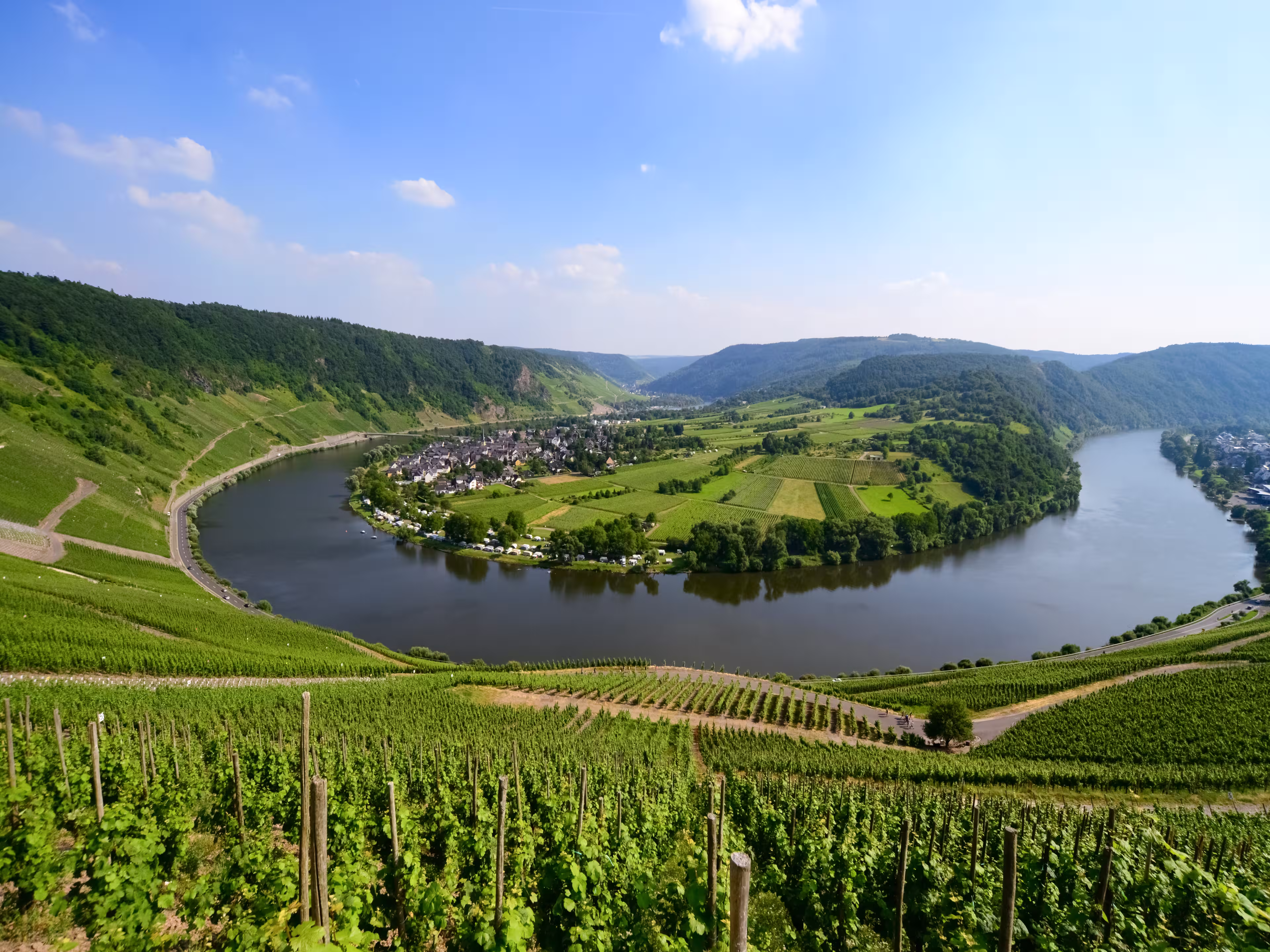 Famous Mosel River Loop Panorama near Kröv, Wolf and Traben-Trabach Germany with Wine Yards, idyllic landscape scenery and vinery villages. Sunny summer day with blue sky, clear view to horizon.