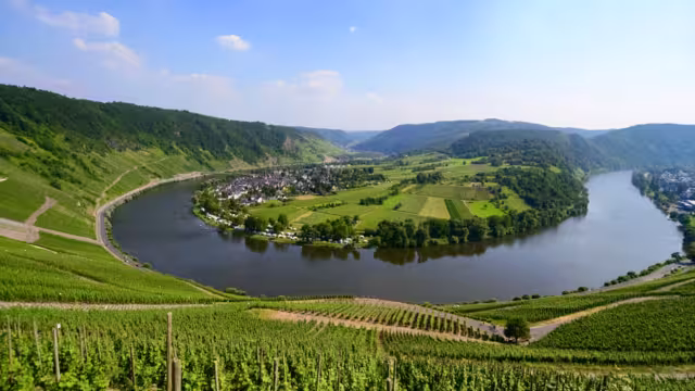 Famous Mosel River Loop Panorama near Kröv, Wolf and Traben-Trabach Germany with Wine Yards, idyllic landscape scenery and vinery villages. Sunny summer day with blue sky, clear view to horizon.
