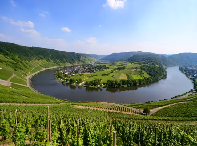 Famous Mosel River Loop Panorama near Kröv, Wolf and Traben-Trabach Germany with Wine Yards, idyllic landscape scenery and vinery villages. Sunny summer day with blue sky, clear view to horizon.
