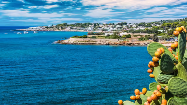 Coastline near Santa Maria di Leuca, Apulia, Italy