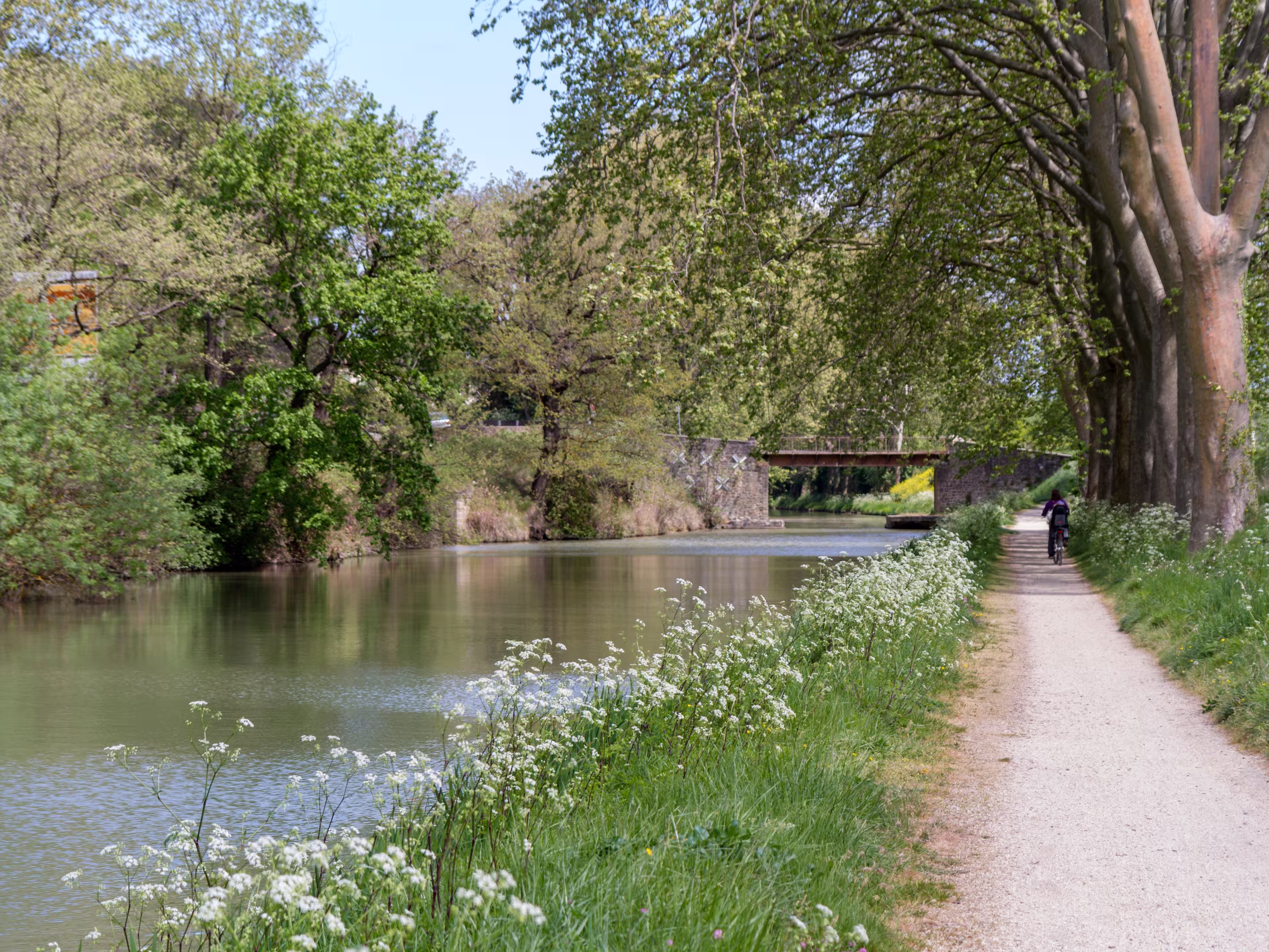 The canal du midi is the oldest canal in Europe and the first canal in the world to use locks, who were invented by Leonardo Da Vinci when he lived his last years in France.