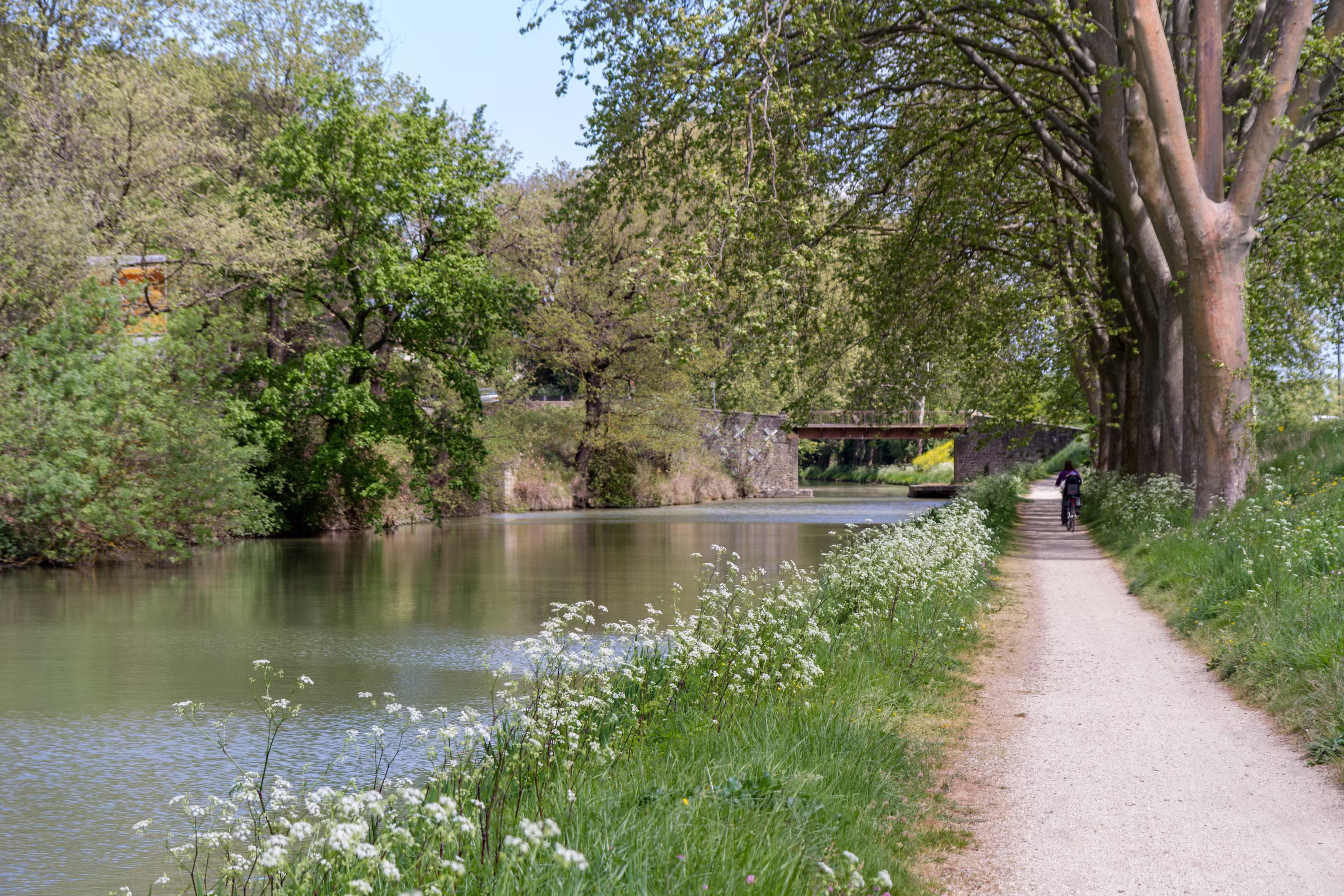 The canal du midi is the oldest canal in Europe and the first canal in the world to use locks, who were invented by Leonardo Da Vinci when he lived his last years in France.