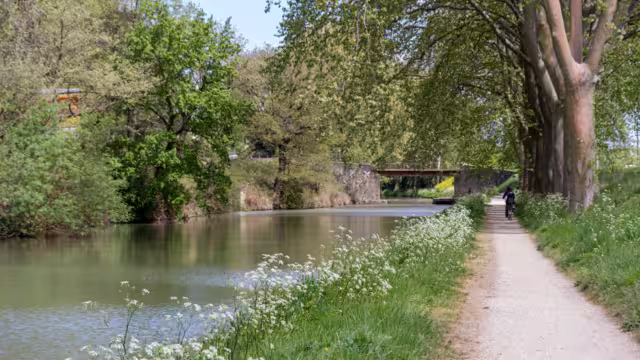 The canal du midi is the oldest canal in Europe and the first canal in the world to use locks, who were invented by Leonardo Da Vinci when he lived his last years in France.