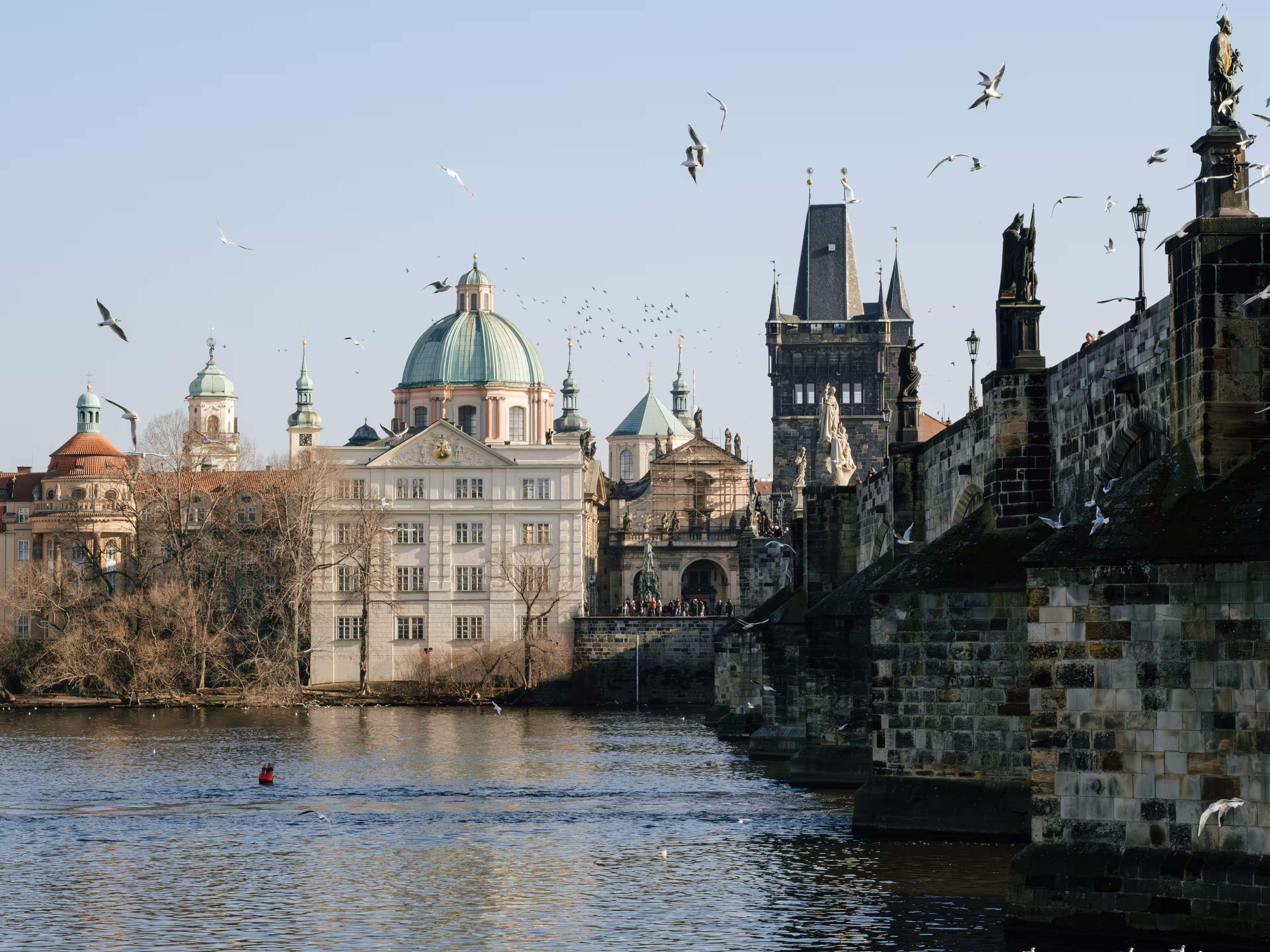 Historic Charles Bridge with Gothic towers spans Vltava River under vibrant blue February sky. Famous Prague landmark with baroque statues glowing in winter sunlight.