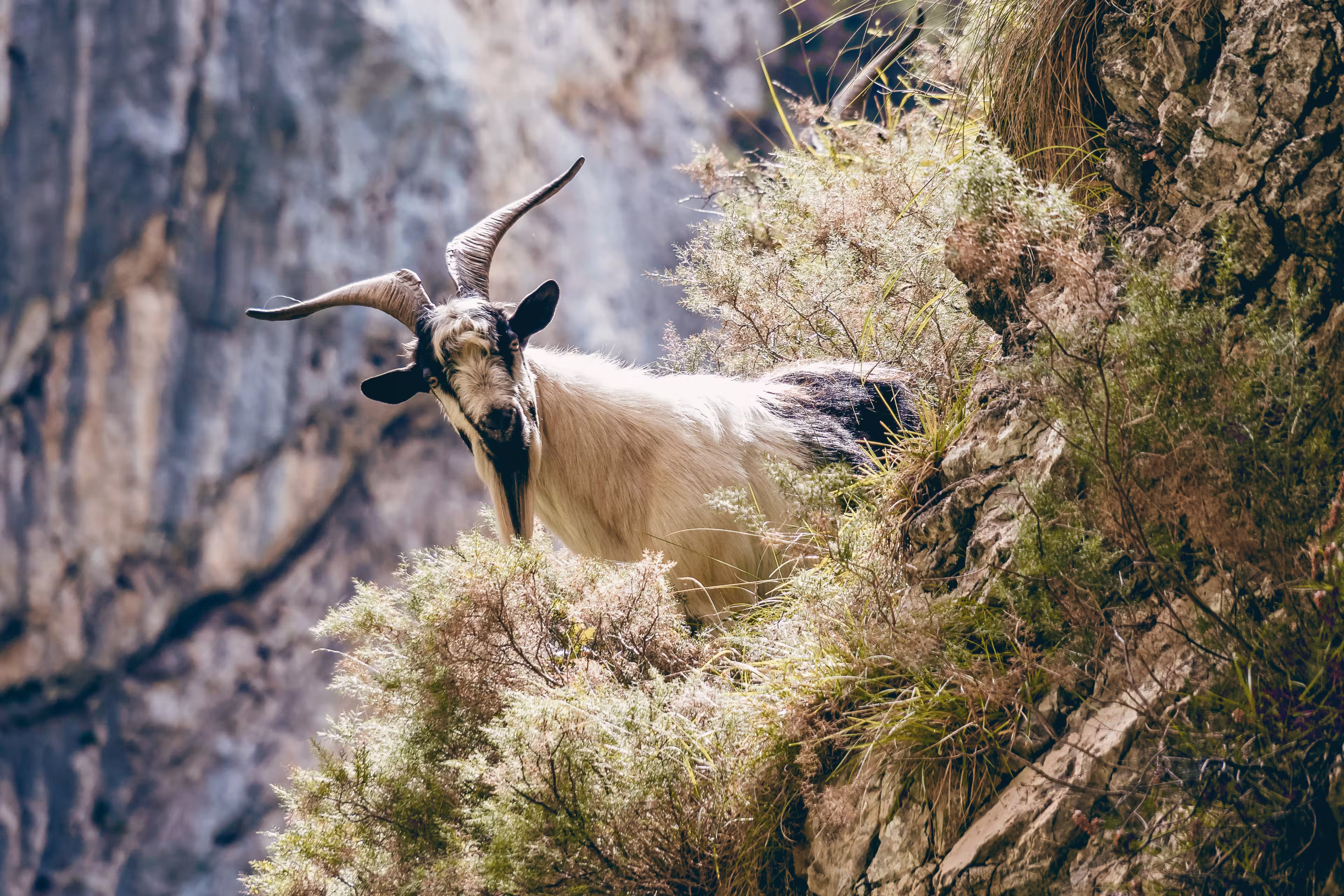 Spanien - Picos de Europa Nord