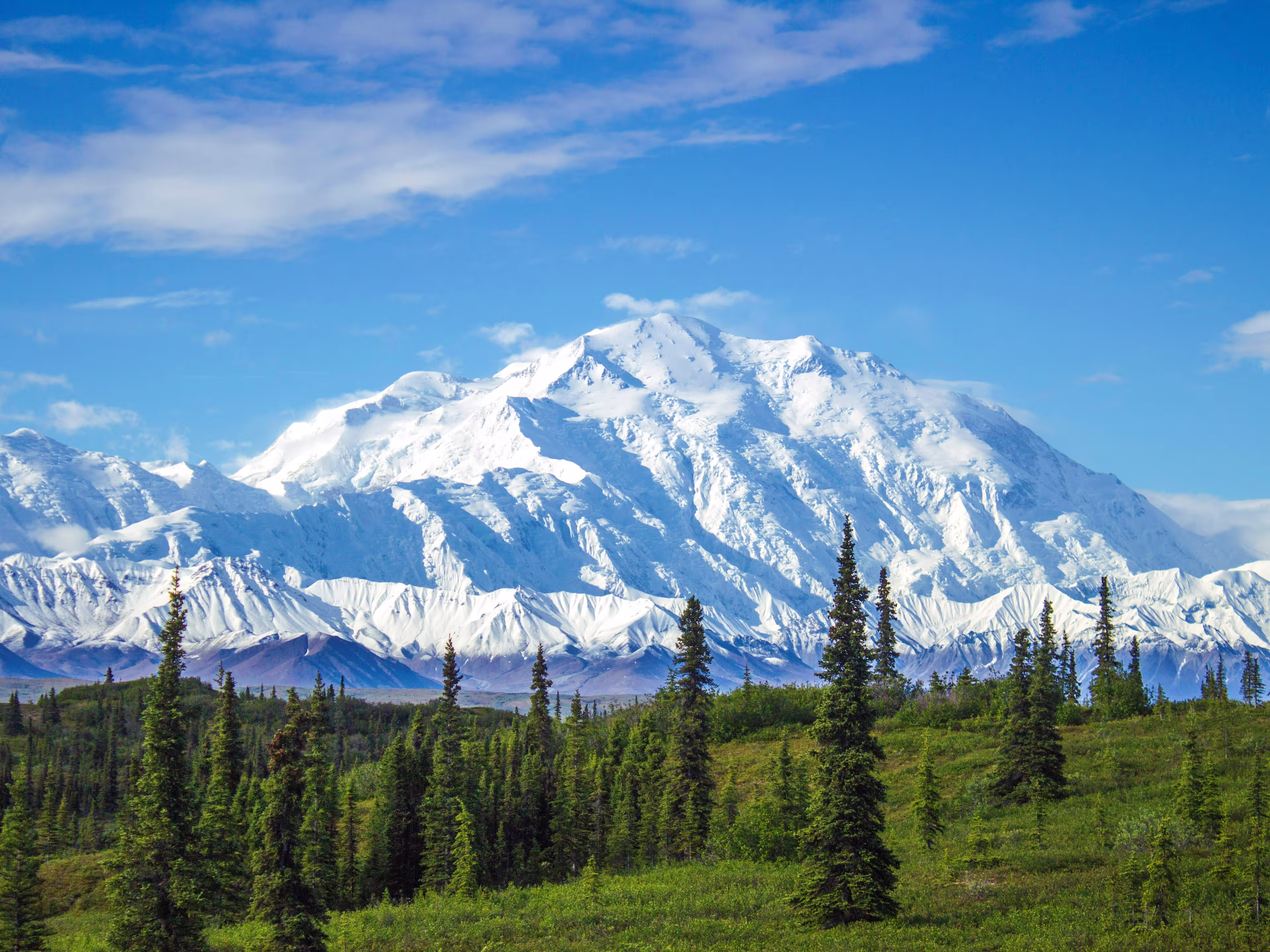 Early morning view of Mount Denali, the tallest peak in continental North America. One of those rare moments when the peak is not covered in clouds.