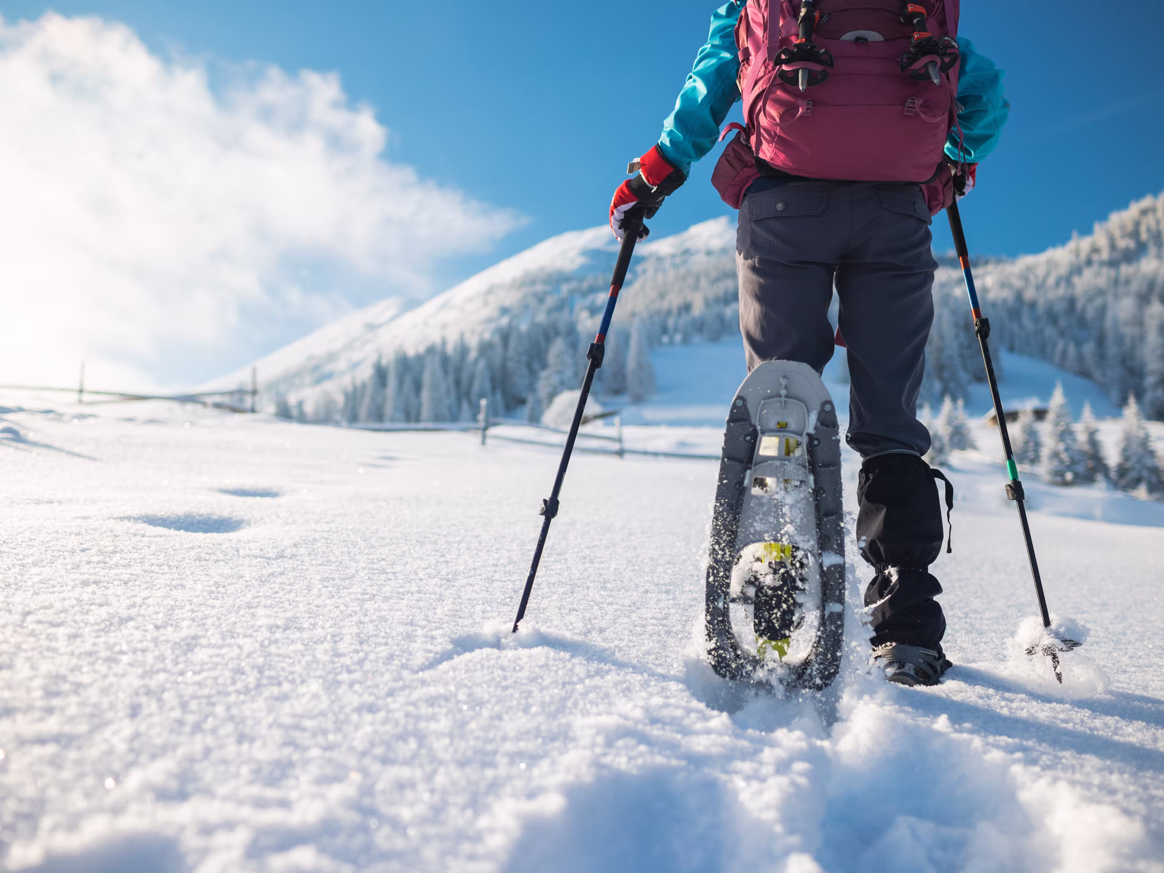 a woman with a backpack in snowshoes climbs a snowy mountain, winter trekking, hiking equipment