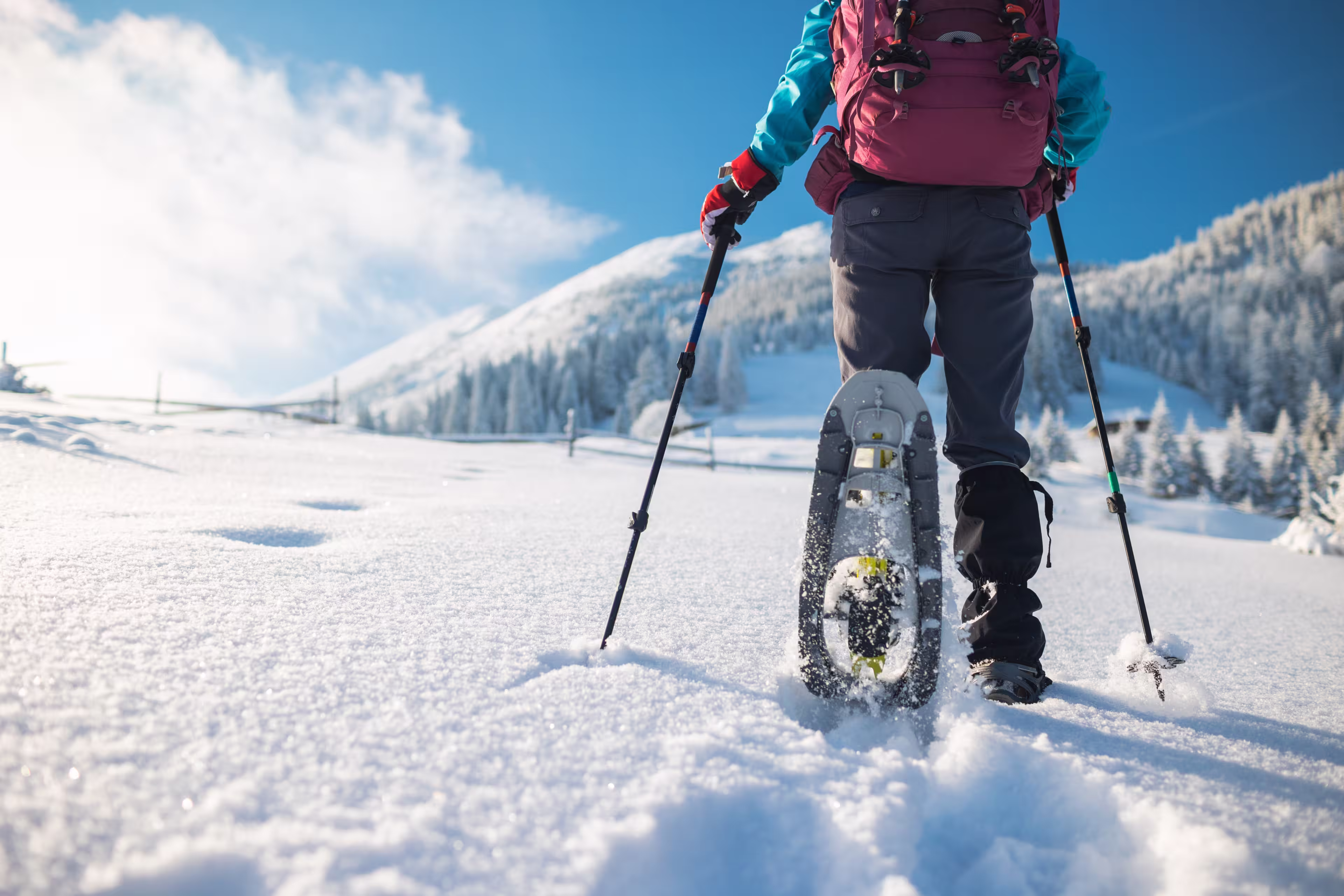 a woman with a backpack in snowshoes climbs a snowy mountain, winter trekking, hiking equipment