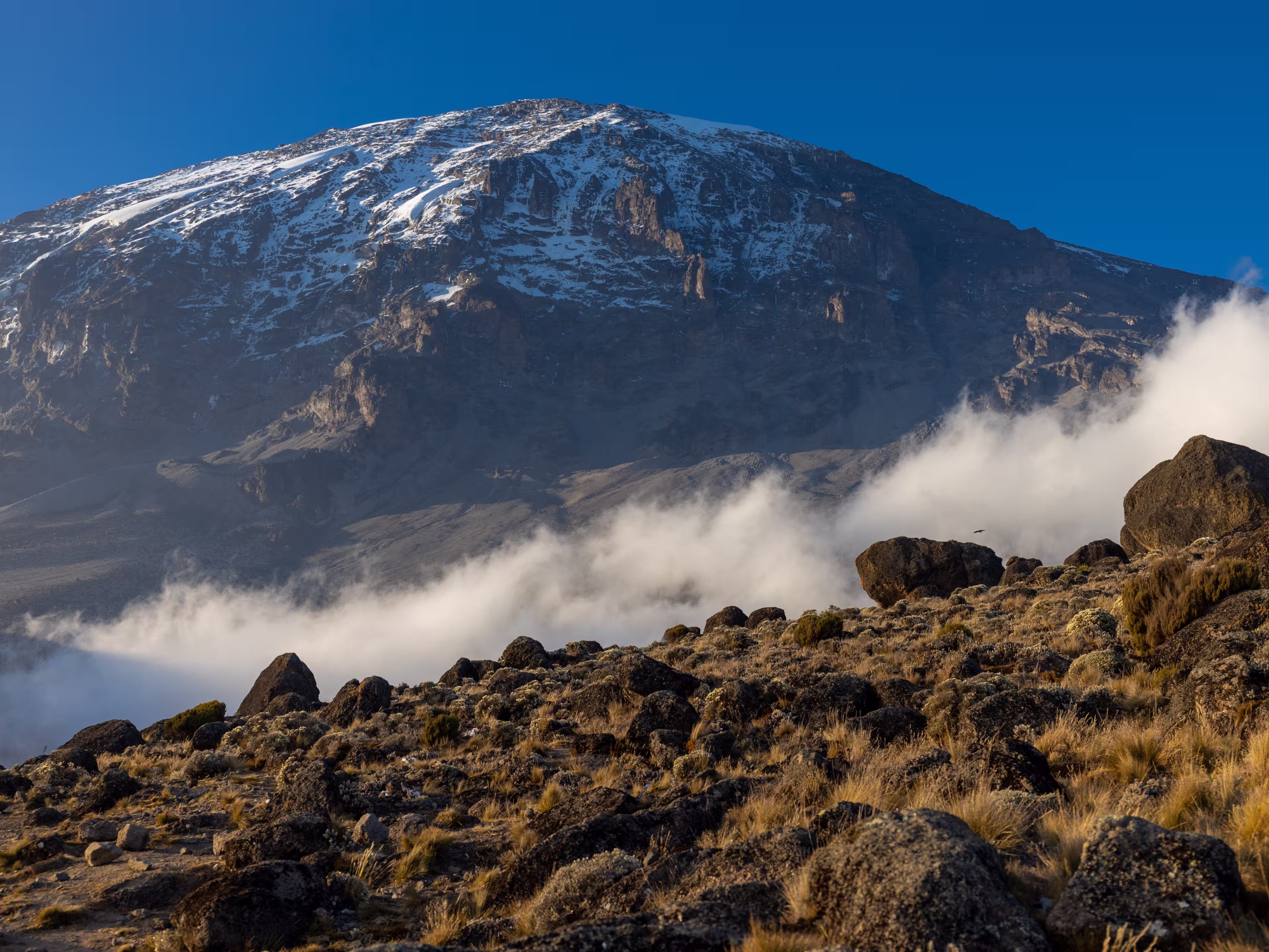 Mount Kilimanjaro hiking trail, way to the summit of mount Kili the highest volcano in Africa, Tanzania. View from top of mountain Kilimanjaro. Snow and glacier on top of Kilimanjaro, Mount Kili