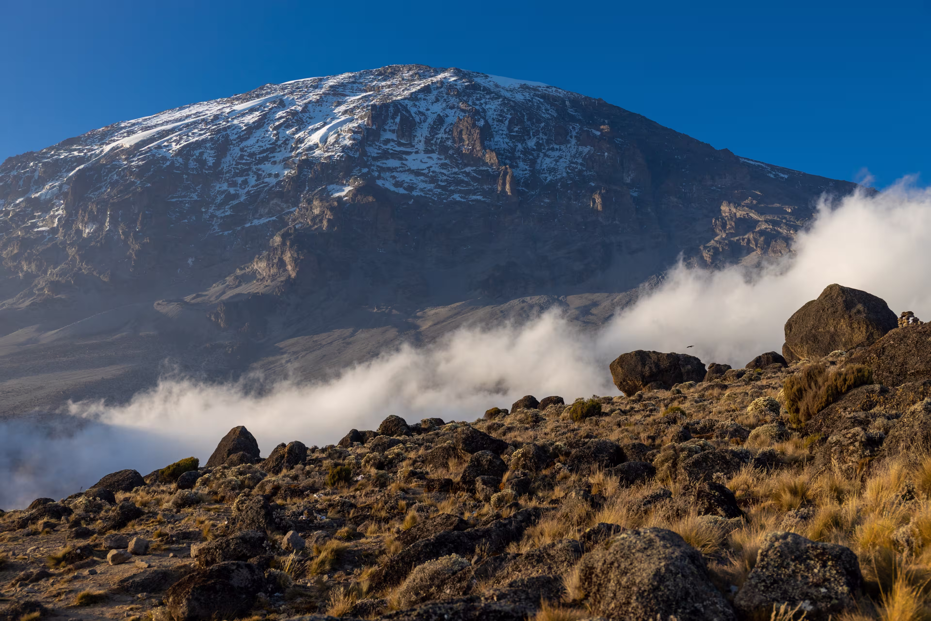 Mount Kilimanjaro hiking trail, way to the summit of mount Kili the highest volcano in Africa, Tanzania. View from top of mountain Kilimanjaro. Snow and glacier on top of Kilimanjaro, Mount Kili