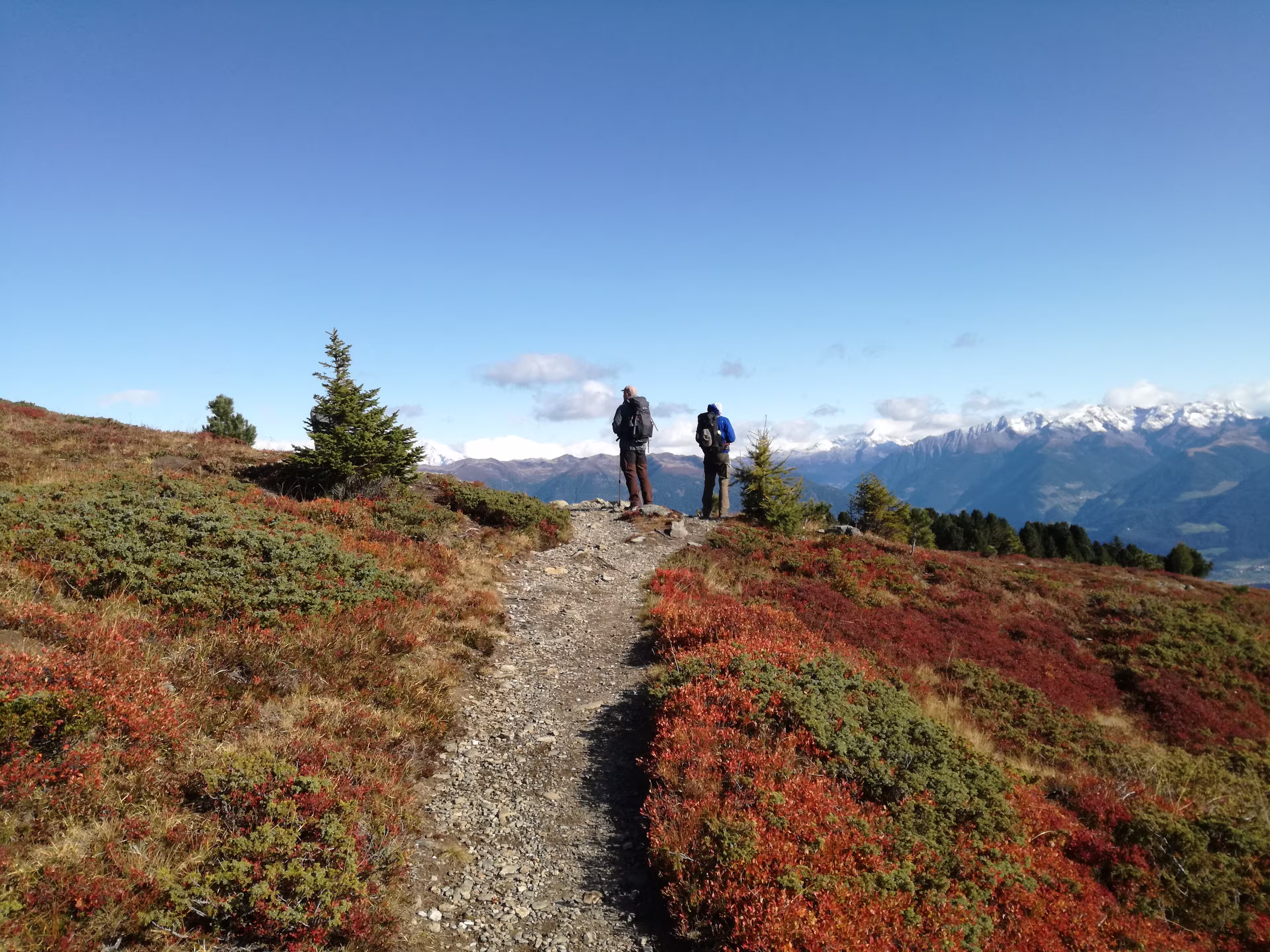 Alto Adige Dolorama
