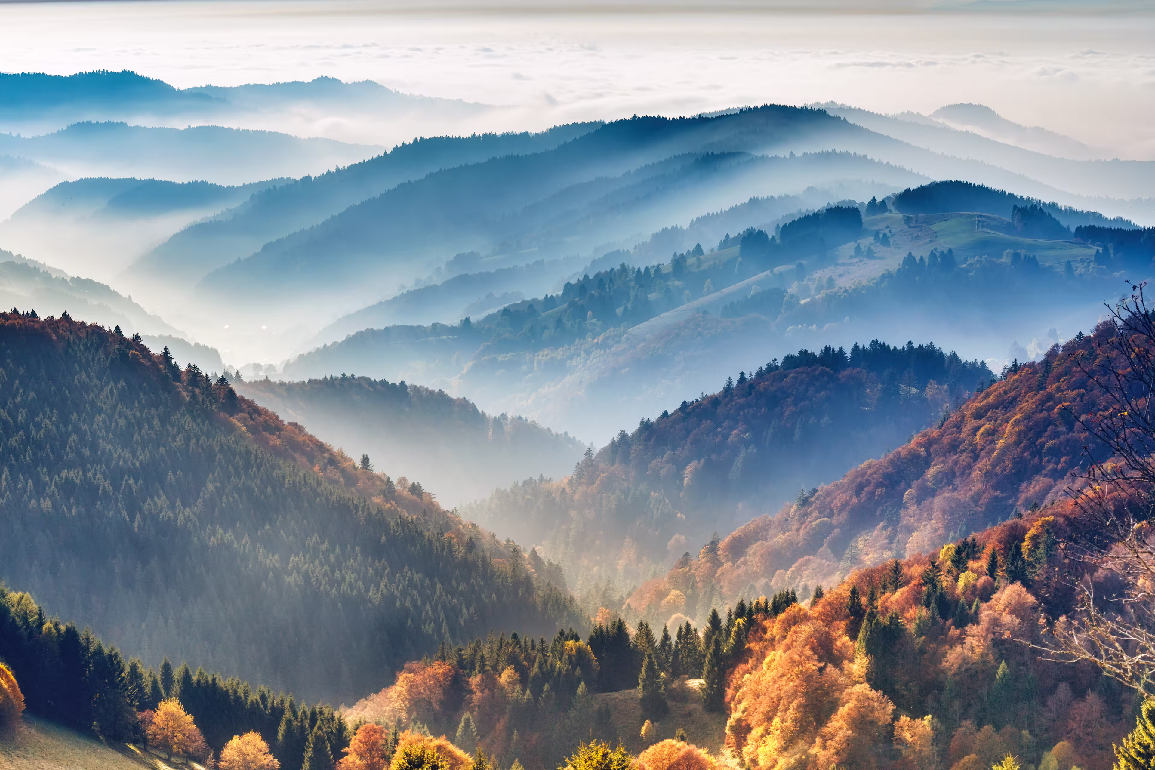 Bezaubernder Hochschwarzwald - Zwischen Schluchsee und Feldberg