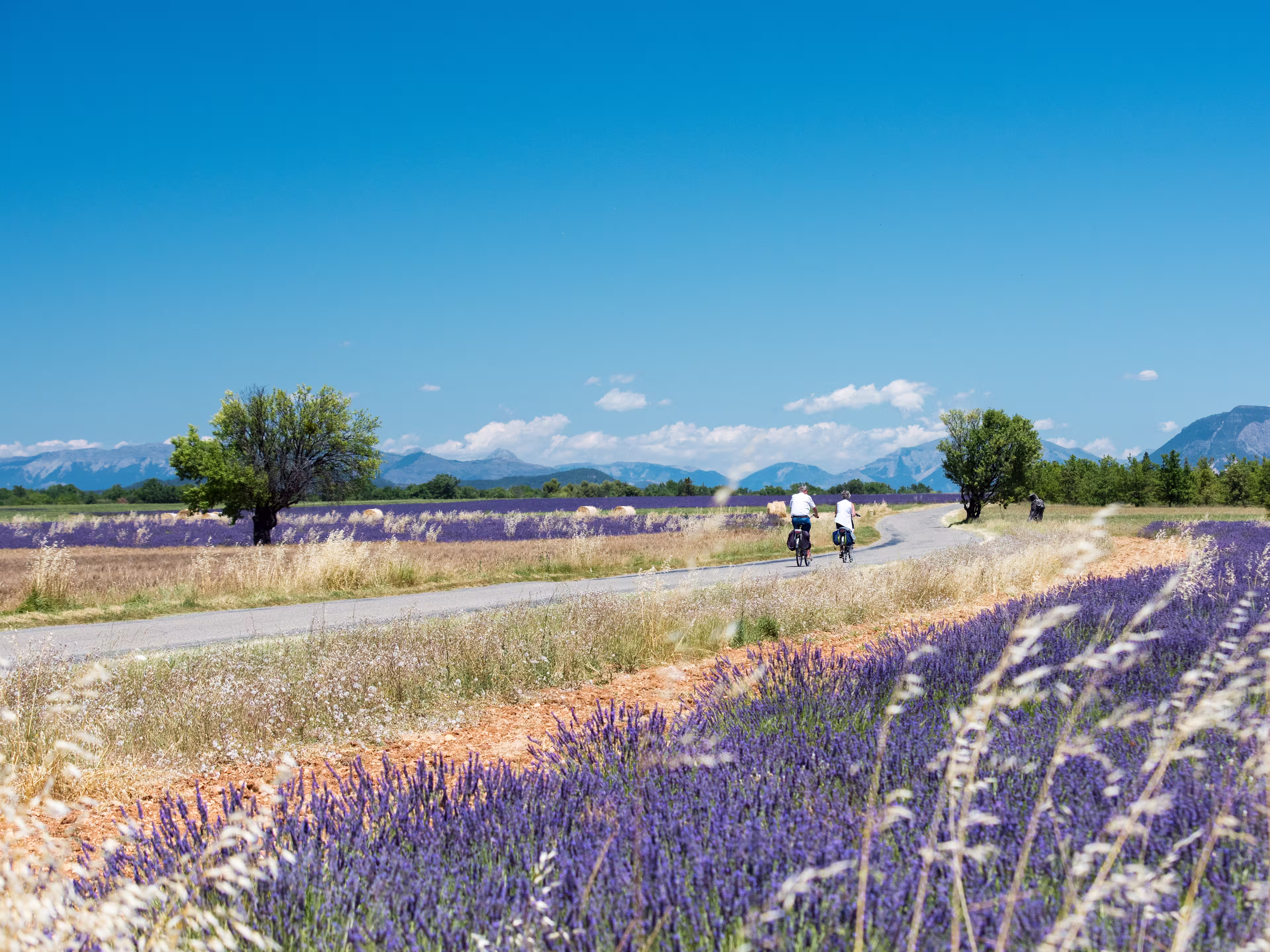 Radfahrer in der Provence