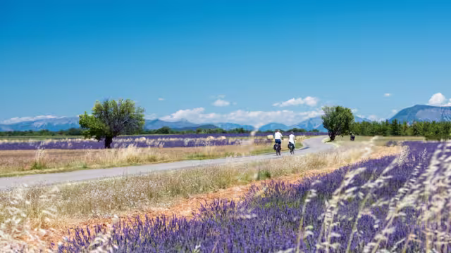 Radfahrer in der Provence
