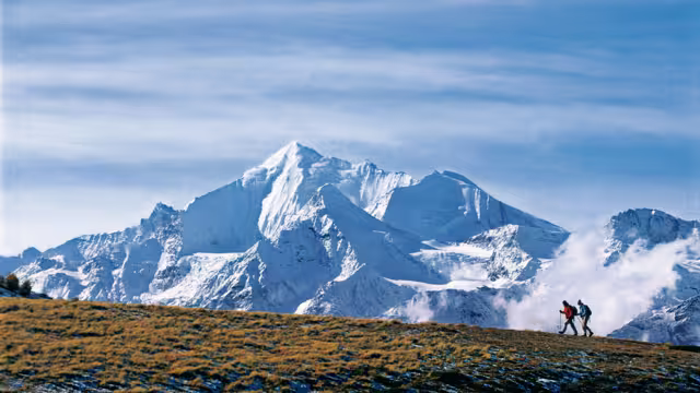 Aletsch Panoramaweg Wandern mit Bergkulisse