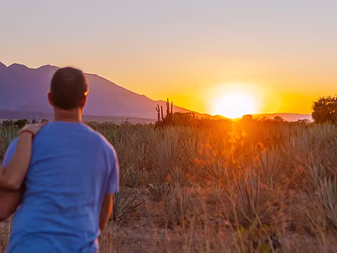 QBPMC - Group watching sunset in field after Mezcal factory tour