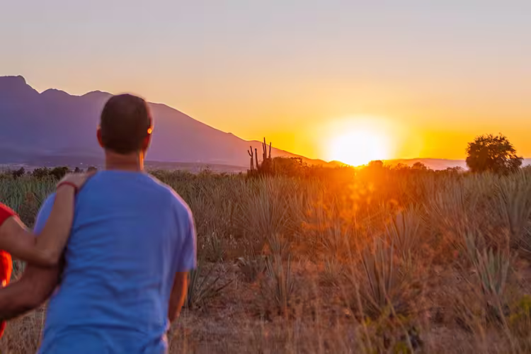 QBPMC - Group watching sunset in field after Mezcal factory tour