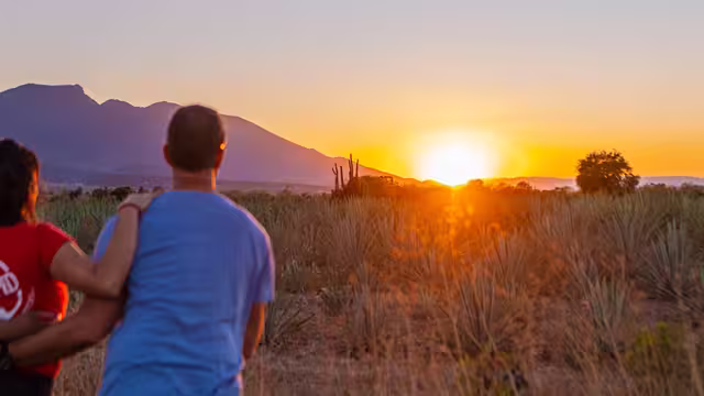 QBPMC - Group watching sunset in field after Mezcal factory tour