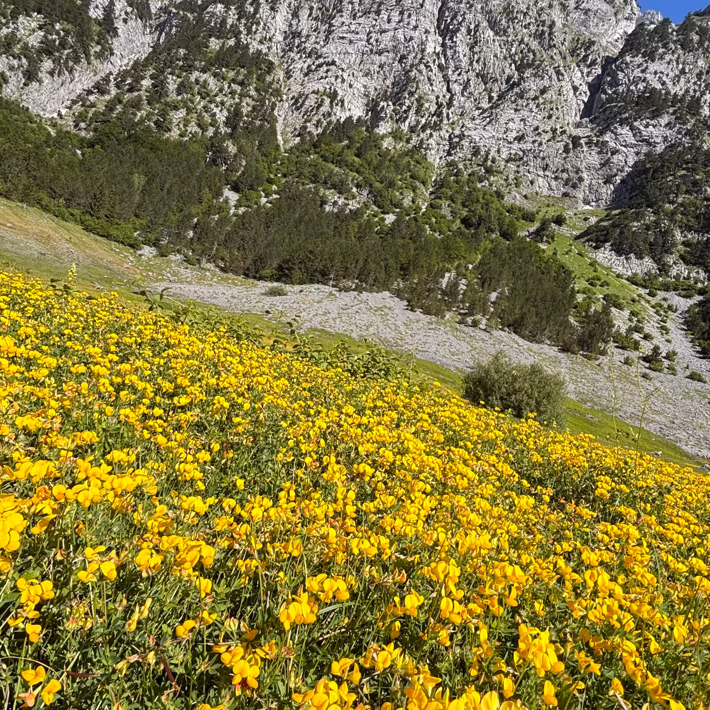 © Birgit Travel impression by Birgit
