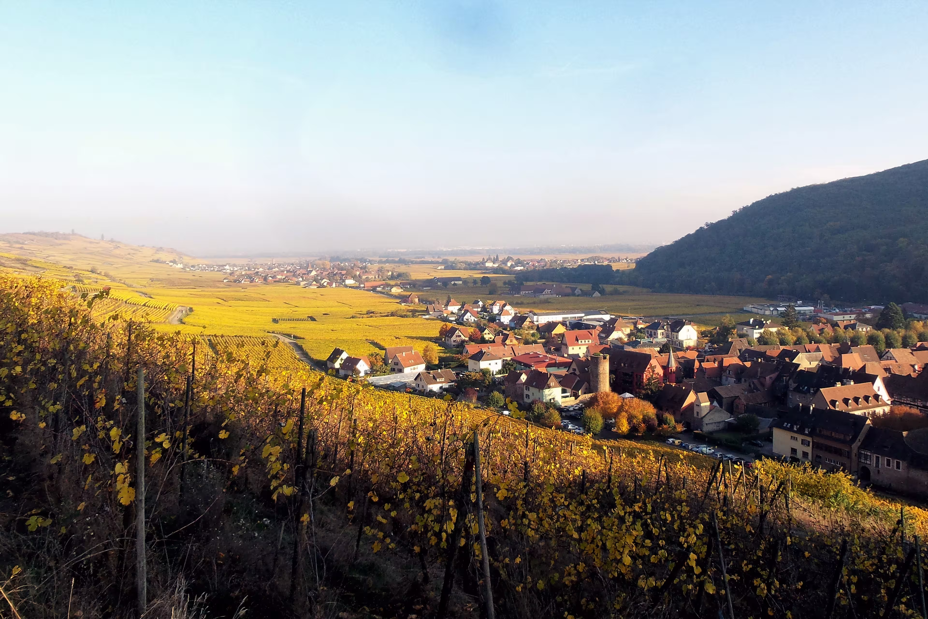 Die große Durchquerung des Elsass