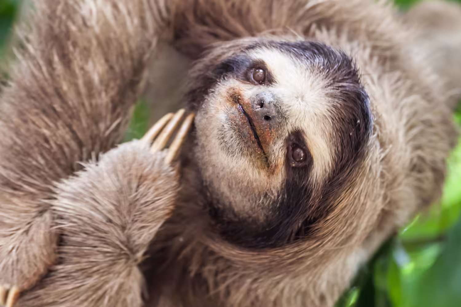 Experience the highlights of Central America with Peregrine Adventures