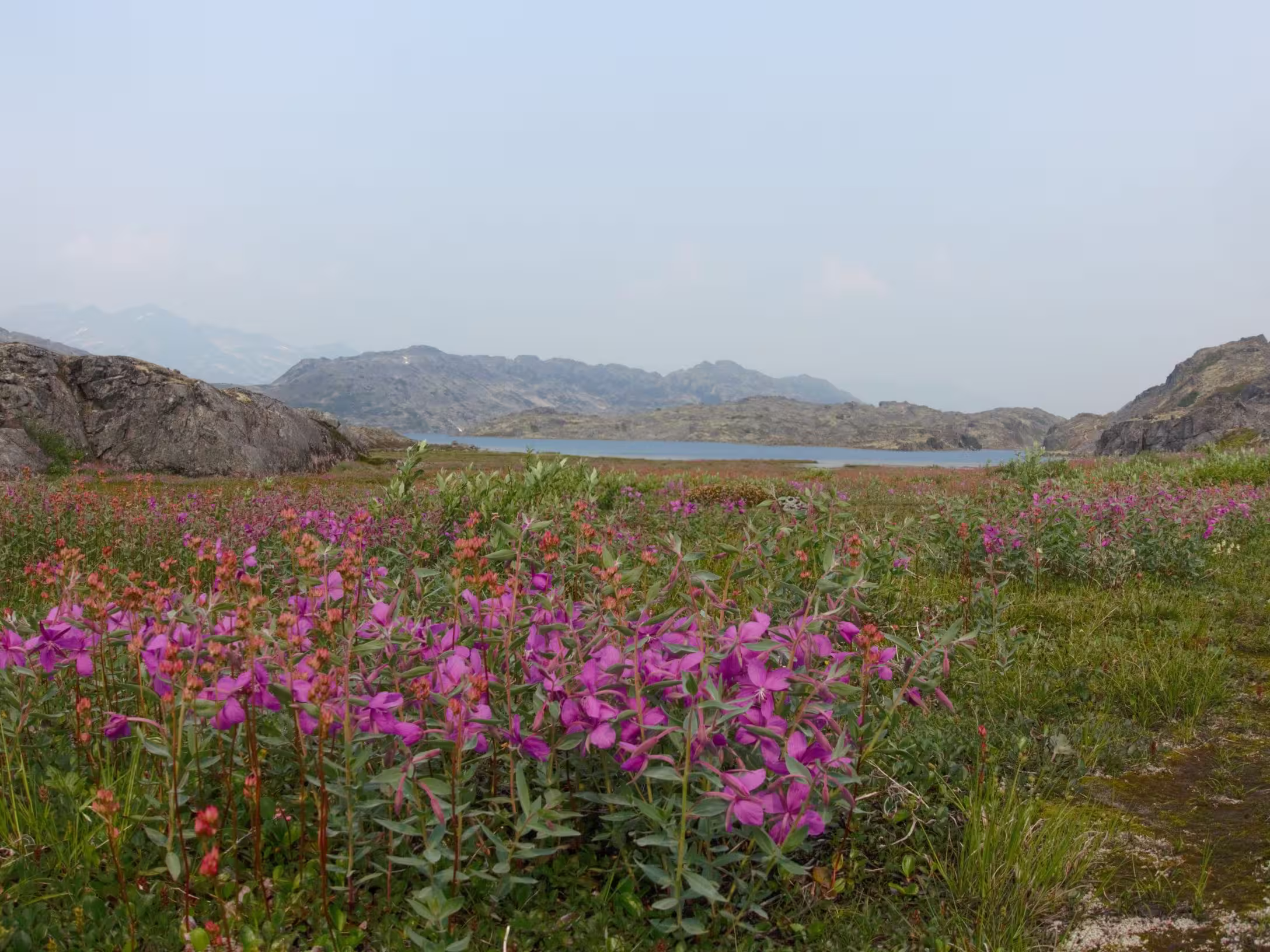 Chilkoot Trail Stampeeders Route