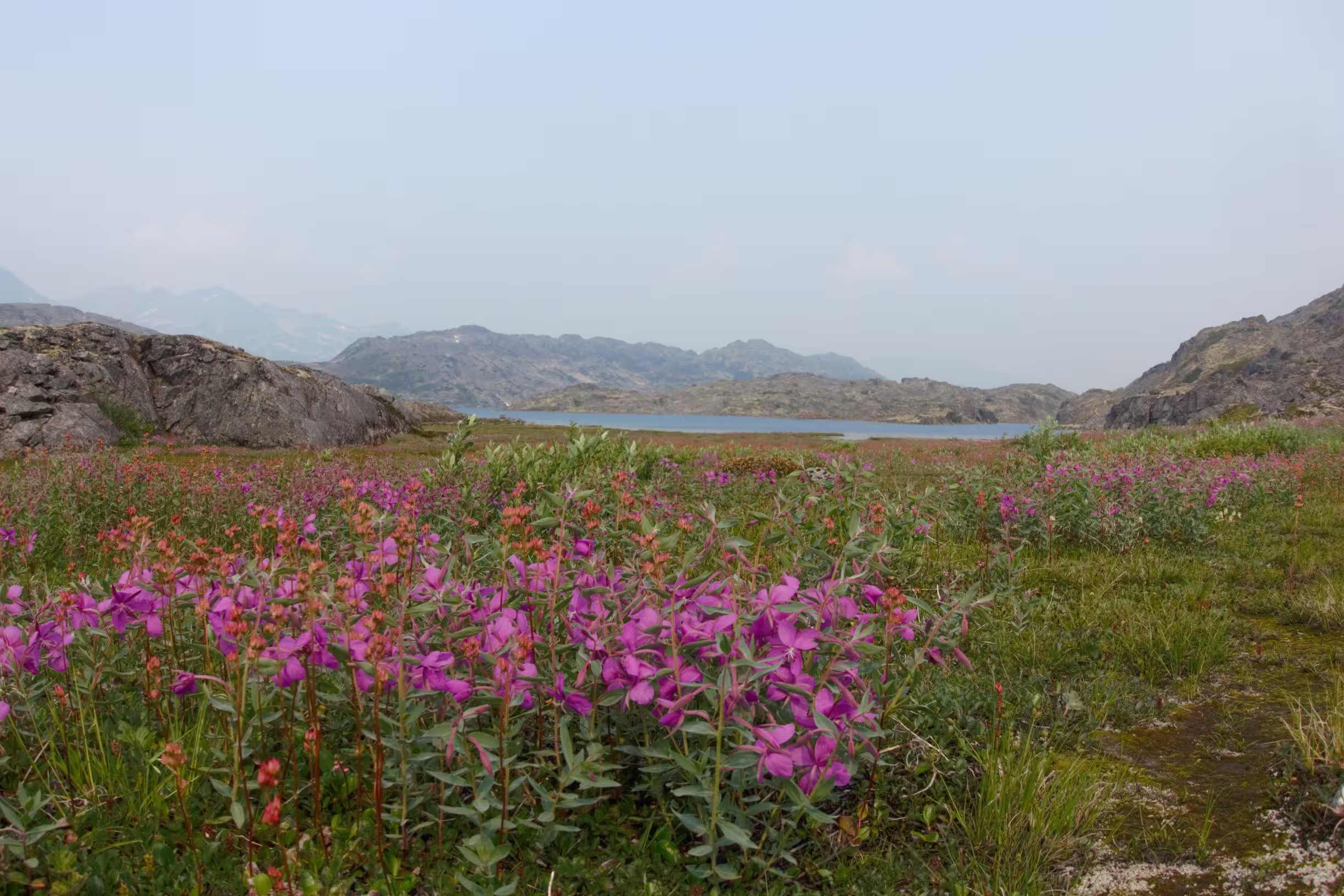 Chilkoot Trail Stampeeders Route