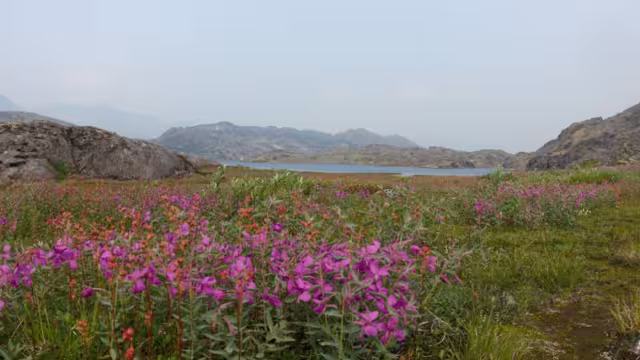 Chilkoot Trail Stampeeders Route