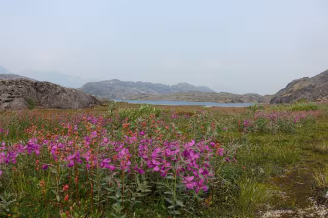 Chilkoot Trail Stampeeders Route