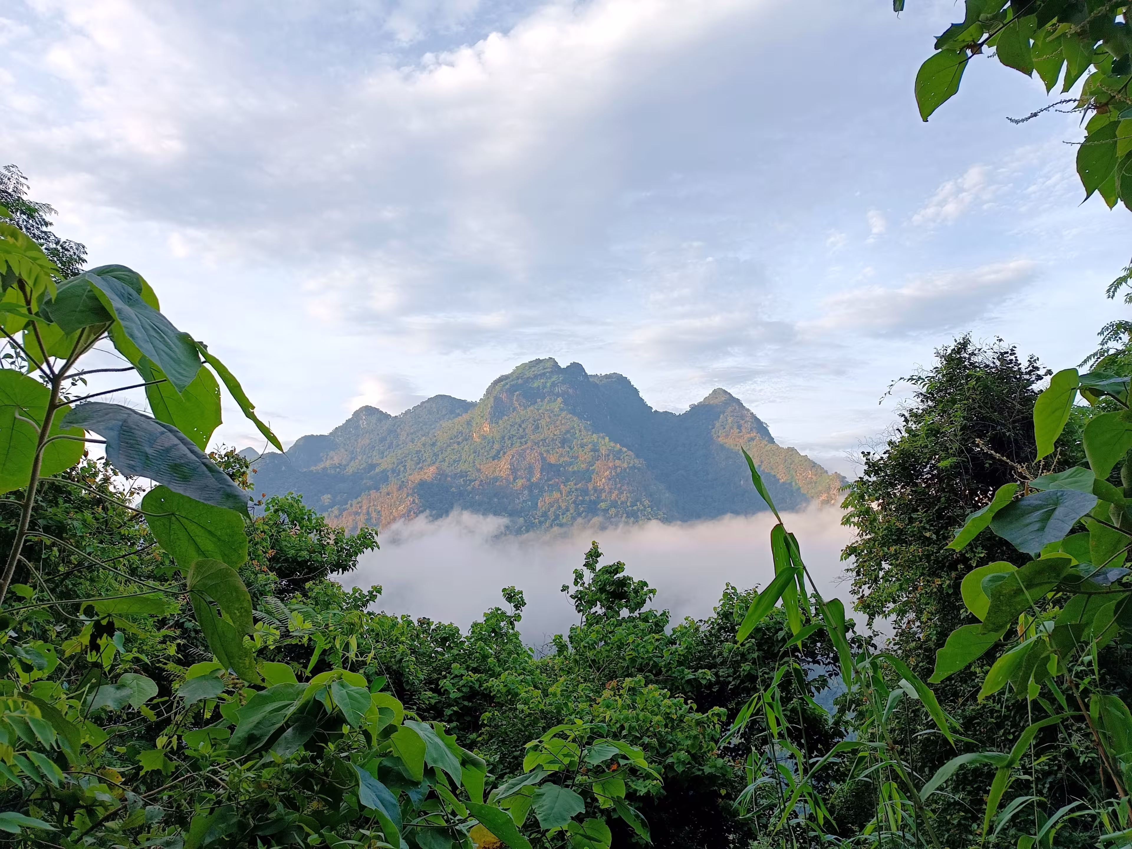 Muang Ngoi is a Laos town alonh the Mam Ou in Luangprabang province. North -East of Luangprabang.